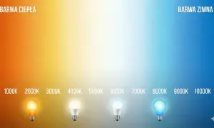 Gradient od ciepłej barwy 1000K do zimnej 10000K. Pokazuje różne odcienie światła, od pomarańczowego po niebieski, z żarówkami ilustrującymi temperaturę barwową.