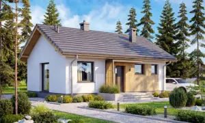 Nowoczesny projekt domu 70m2 z drewnianymi elementami, otoczony zielenią i sosnami. Biała elewacja, szary dach, duże okna.