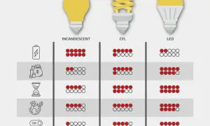 Porównanie typów żarówek: tradycyjnej, energooszczędnej (CFL) i LED pod kątem zużycia energii, kosztów, żywotności i ekologii.
