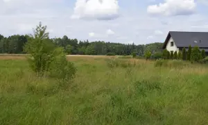 Łąka z domem w tle, idealna pod budowę. Warunki zabudowy 2026 sprzyjają inwestycjom w tej spokojnej okolicy.
