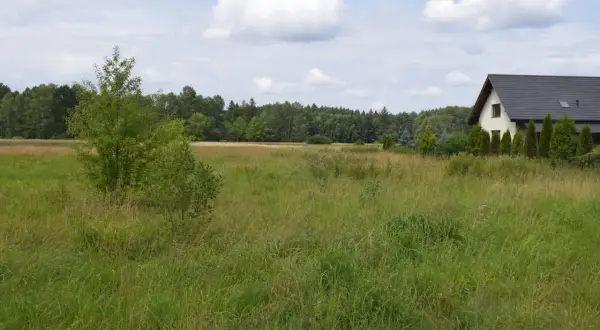 Łąka z domem w tle, idealna pod budowę. Warunki zabudowy 2026 sprzyjają inwestycjom w tej spokojnej okolicy.