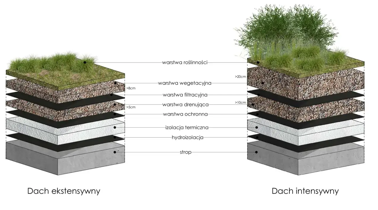 Schemat dachu ekstensywnego i intensywnego z zielonym dachem. Pokazano warstwy: roślinność, wegetacja, filtracja, drenaż, ochrona, izolacja termiczna, hydroizolacja i strop.